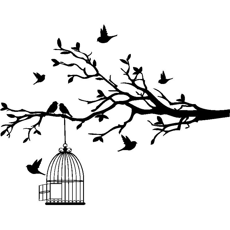 cageoiseau