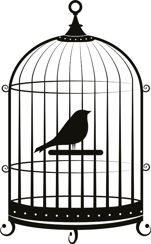 oiseauencage